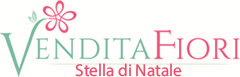 homepage Stella di Natale.it